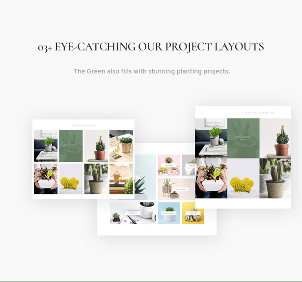 The Green - Houseplants & Gardening WordPress Theme